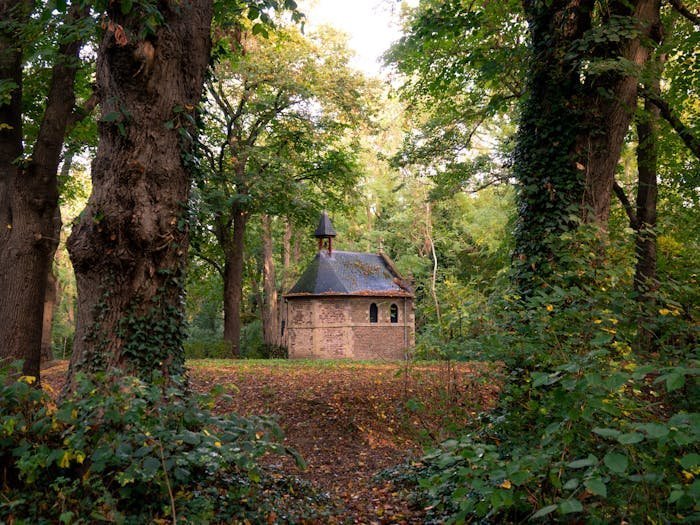 Petite chapelle en pierre dans une forêt verdoyante